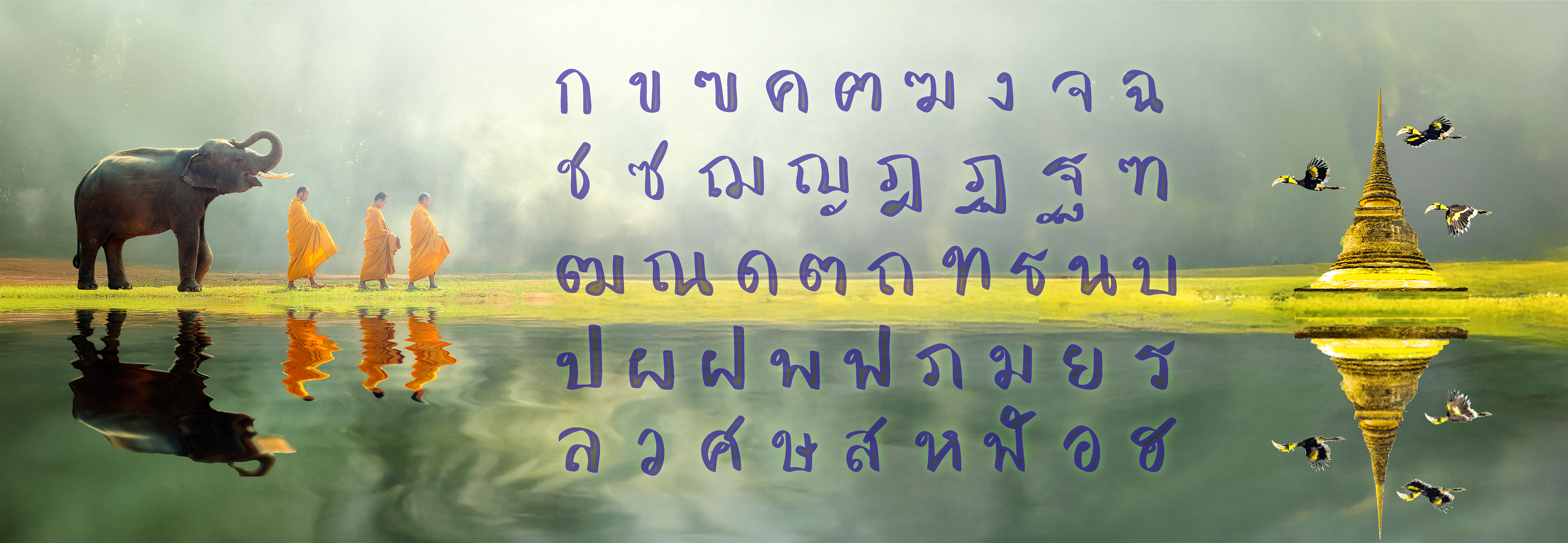 Thai Field Guide in action